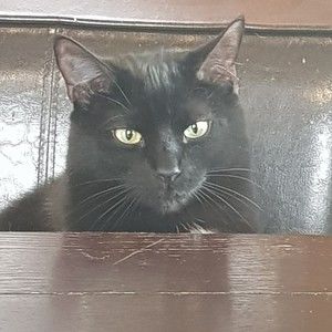 Meet your Posher, Posh